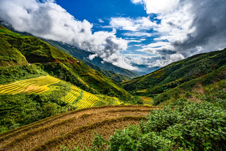 Mu Cang Chai, landscape terraced rice field near Sapa, northern Vietnam