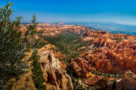 Southwest usa Bryce Canyon National Park (a rocky town of red-rose towers and needles in a closed amphitheater)の写真素材