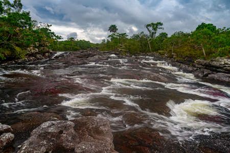 The rainbow river or five colors river is in Colombia one of the most beautiful nature places, is called Crystal Canyonの写真素材