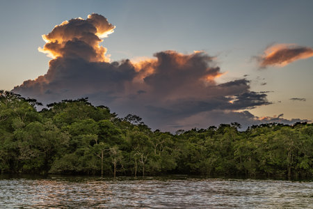 Reflection of a sunset by a lagoon inside the Amazon Rainforest Basin. The Amazon river basin comprises the countries of Brazil, Bolivia, Colombia, Ecuador, Guyana, Suriname, Peru and Venezuela