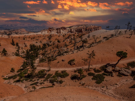 Southwest usa Bryce Canyon National Park (a rocky town of red-rose towers and needles in a closed amphitheater)の写真素材
