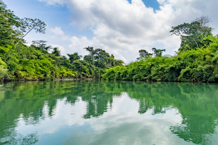 Landscape of the Usumacinta river, the international geographic border between Mexico and Guatemala.
