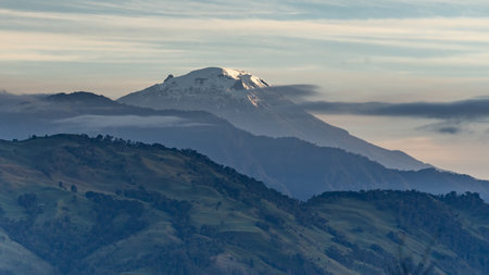 Wax palm trees, native to the humid montane forests of the Andes, towering the landscape of Cocora Valley at Salento, among the coffee zone of Colombiaの写真素材