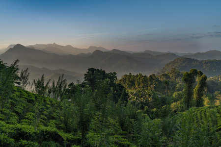beautiful landscape with mountains in the background srilankaの写真素材