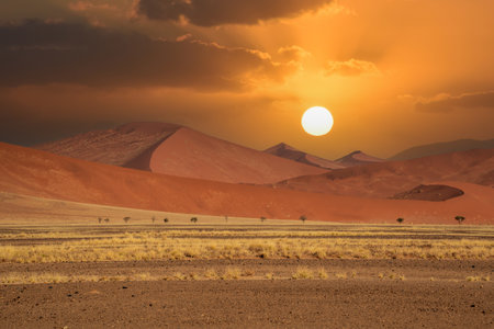 huge sand dunes in the Namib Desert with trees in the foregroundの写真素材