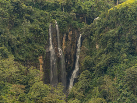 beautiful waterfall among the tea plantationsの写真素材