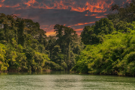 Canal in the national park of Tortuguero with its tropical rainforest along the Caribbean Coast of...