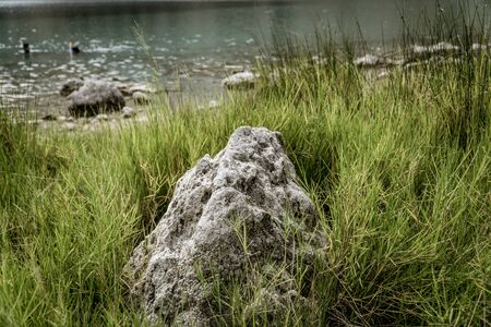 a rock in the grassの写真素材