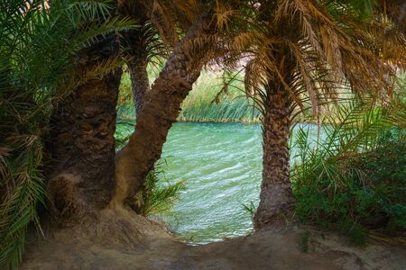 View of river near Preveli beach river and palm forest, southern Crete, Greece