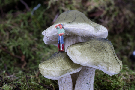 Concept Woodsman felling a mushroomの写真素材