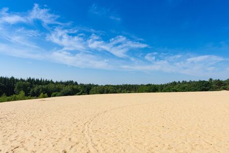 Desert Background Landscape with blue sky