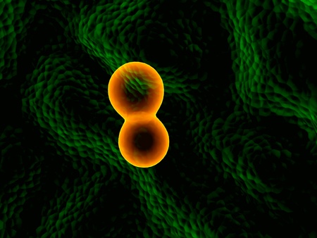 orange micro cells の写真素材