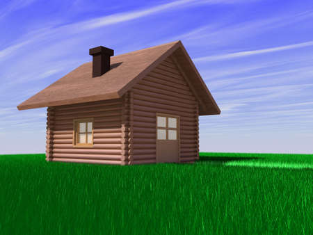 home on field の写真素材