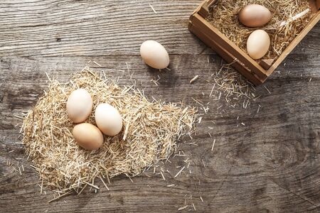 Eggs in strawの写真素材