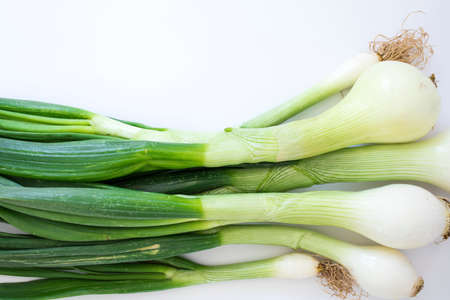 Green onions on white backgroundの写真素材