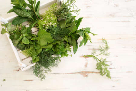 Spices and herbs on wooden backgroundの写真素材