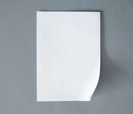 Blank white paper on the gray backgroundの写真素材
