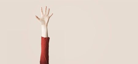 Female hand showing number five, isolated backgroundの写真素材