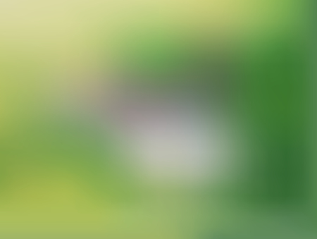 Blurry and abstract vector backgroundのイラスト素材