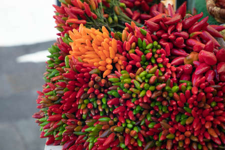 Hot peppers of various colors - healthy natural ingredients
