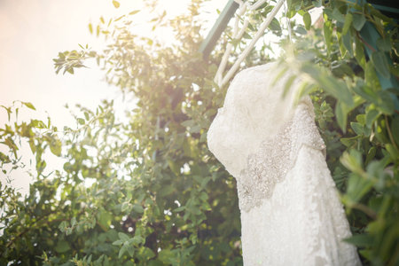 elegant wedding dress hanging on branchの写真素材