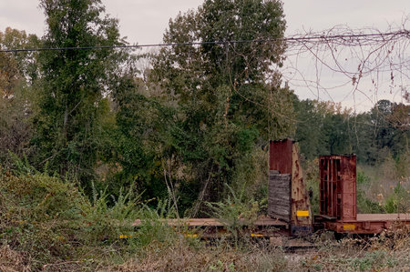 Tucked behind an Opelika diner, these flatbed cars wait patiently for work. AL 2024の写真素材