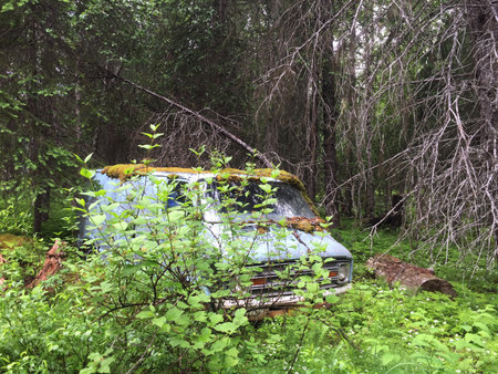 It wouldn't be rugged and rural America without a moss-covered van abandoned in the forest. Alaskaの写真素材