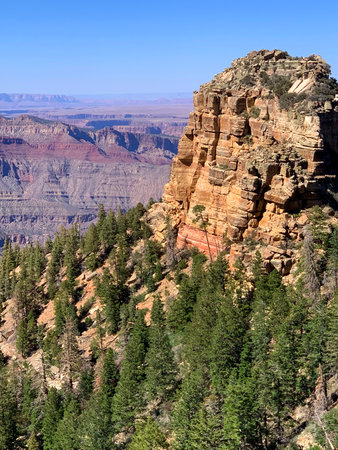 The breathtaking views do not disappoint at Arizona's North Rim national Park. Here, a naturally formed Monument of sorts, with pine trees climbing her foothills, projects into the landscape.の写真素材