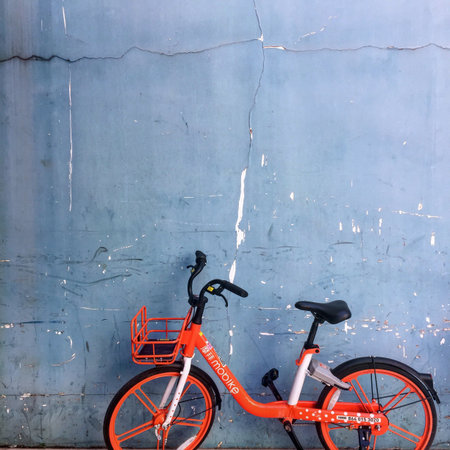 A fortunate moment provided this study in complimentary colors.のeditorial素材