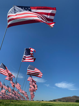 Every year as September 11th approaches, this field along the Pacific Coast Highway fills with the national flags of every soul who died in the 2001 attacks. Mosts were American.のeditorial素材