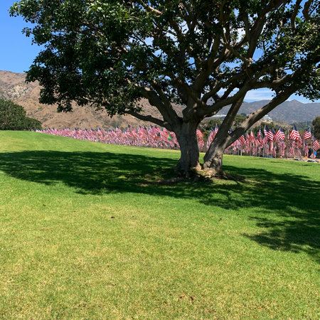 Every year as September 11th approaches, this field along the Pacific Coast Highway fills with the national flags of every soul who died in the 2001 attacks. Each flag represents that person's citizenship. Most, but not all, were American.のeditorial素材