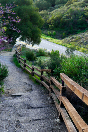 A hidden pathway, in disrepair, lead up to a beautiful view of the central California coastline.の写真素材
