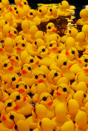 A bright yellow sea of robber duckies, can you tell which one is lucky?のeditorial素材