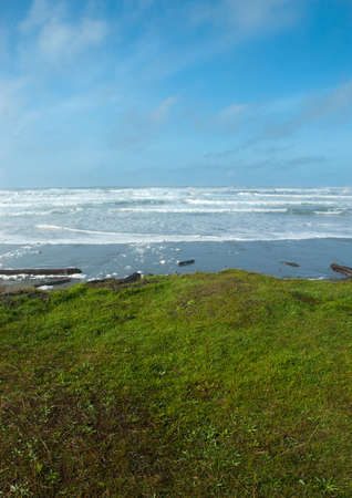 View out to the pacific ocean from a grassy shorelineの写真素材