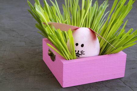 Easter colored eggs on the grey background.の写真素材