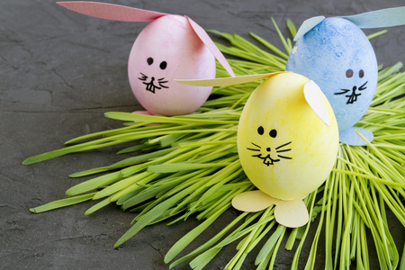 Easter colored eggs on the gray background.の写真素材