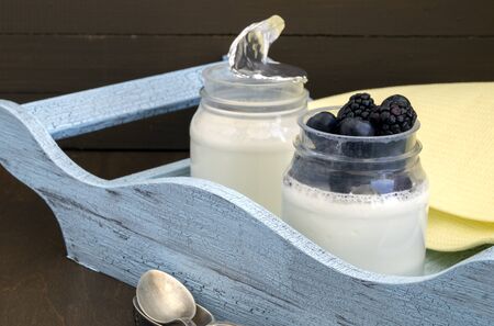 Natural yogurt with fresh berries, blueberry and BlackBerry.
の写真素材