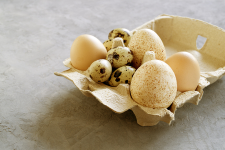 Turkey, quail and chicken eggs on grey background.
の写真素材