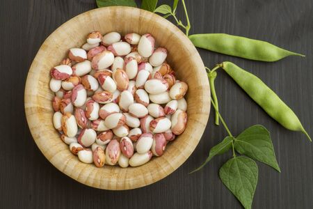 Anasazi beans. close up. on black background.