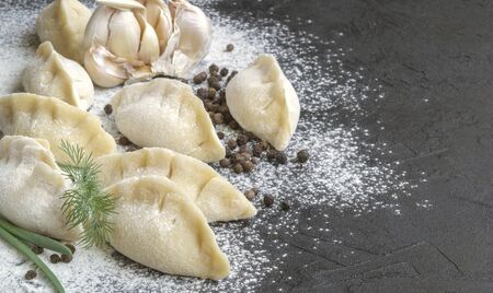 Modeling of homemade meat dumplings. ingredients for cooking dumplings.
の写真素材