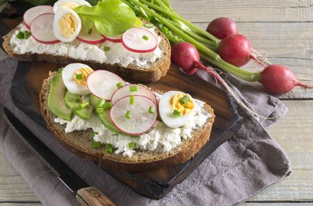 Rye bread with butter and radish. Healthy food.
の写真素材