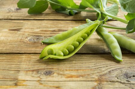 pods of young green peas on a wooden background.