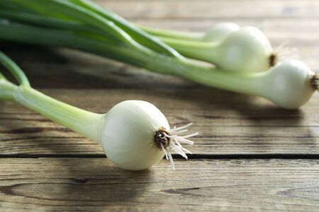 young fresh green onions. on a wooden backgroundの写真素材