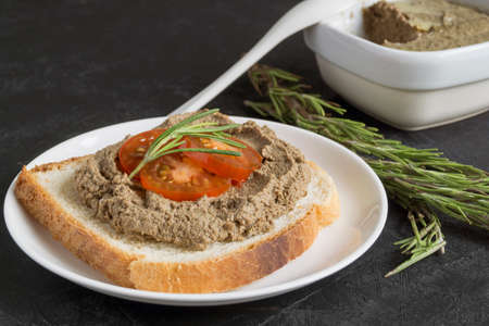 homemade meat pate on toasted crusty bread. dark photo style.の写真素材