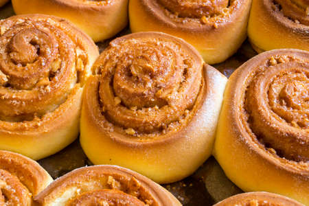 Cinnabon. homemade cinnamon rolls. baked buns on a baking sheetの写真素材