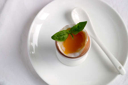 Soft-boiled egg for Breakfast. in a white egg rack.の写真素材