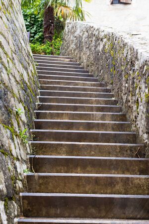 curved stone staircase partly covered with black moss