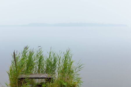 a small pier in the mist, overgrown with reeds on the shore of Lake Zyuratkul, Ural, Russiaの写真素材