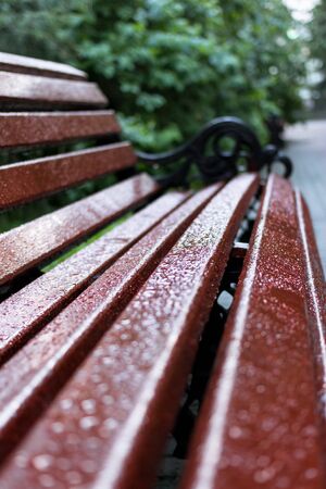 raindrops on a bench in a city parkの写真素材