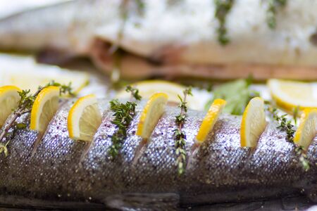Two river fish trout on baking tray stuffed with lemon wedges and a sprig of green thyme. Shallow...